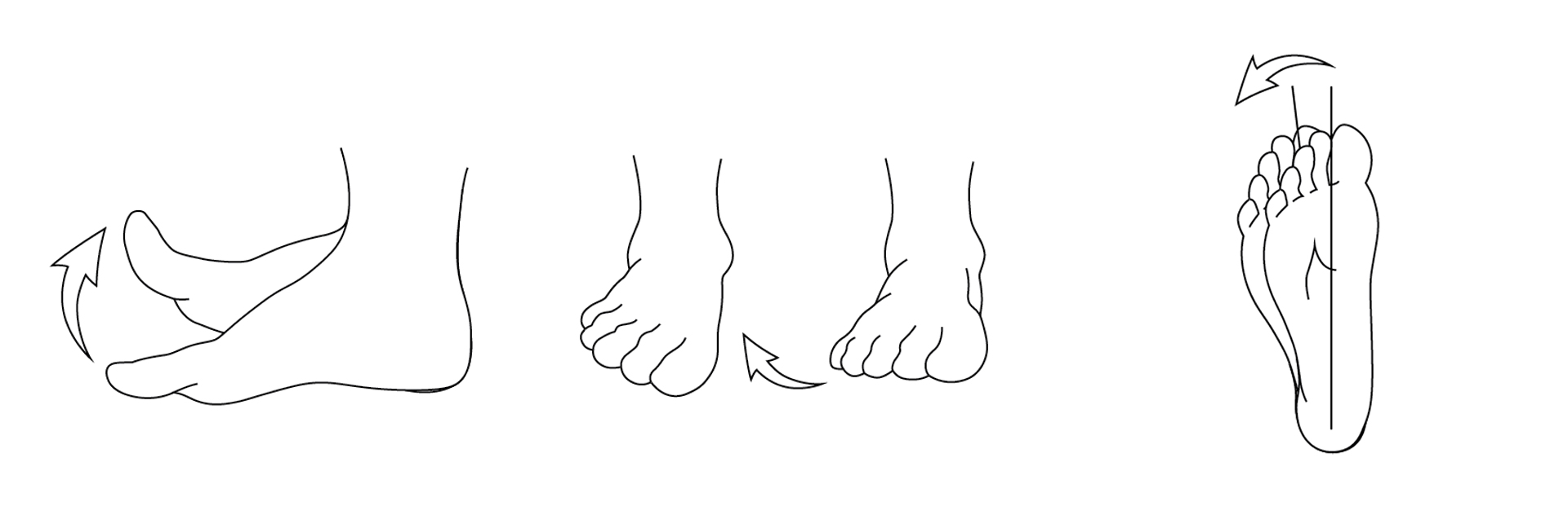 Dorsilfexion, Eversion, and Abduction diagrams