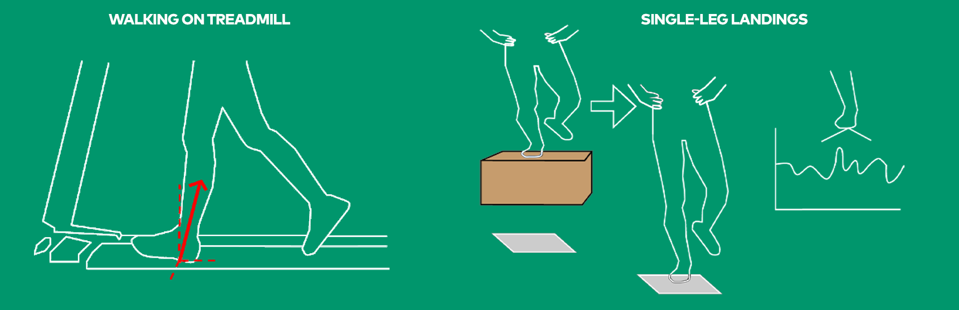 Types of walking illustrated