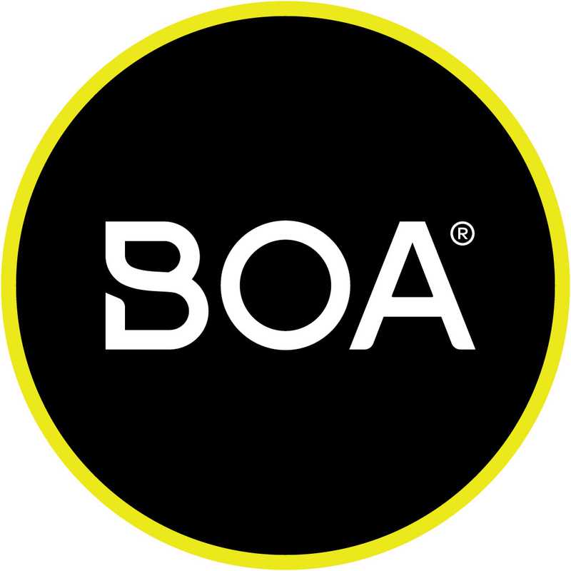 BOA Logo