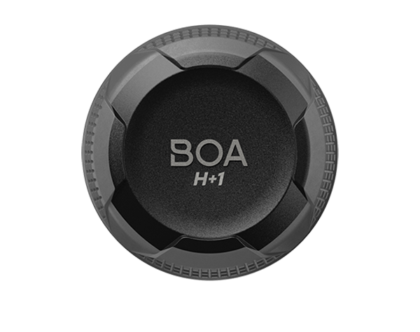 BOA H+1